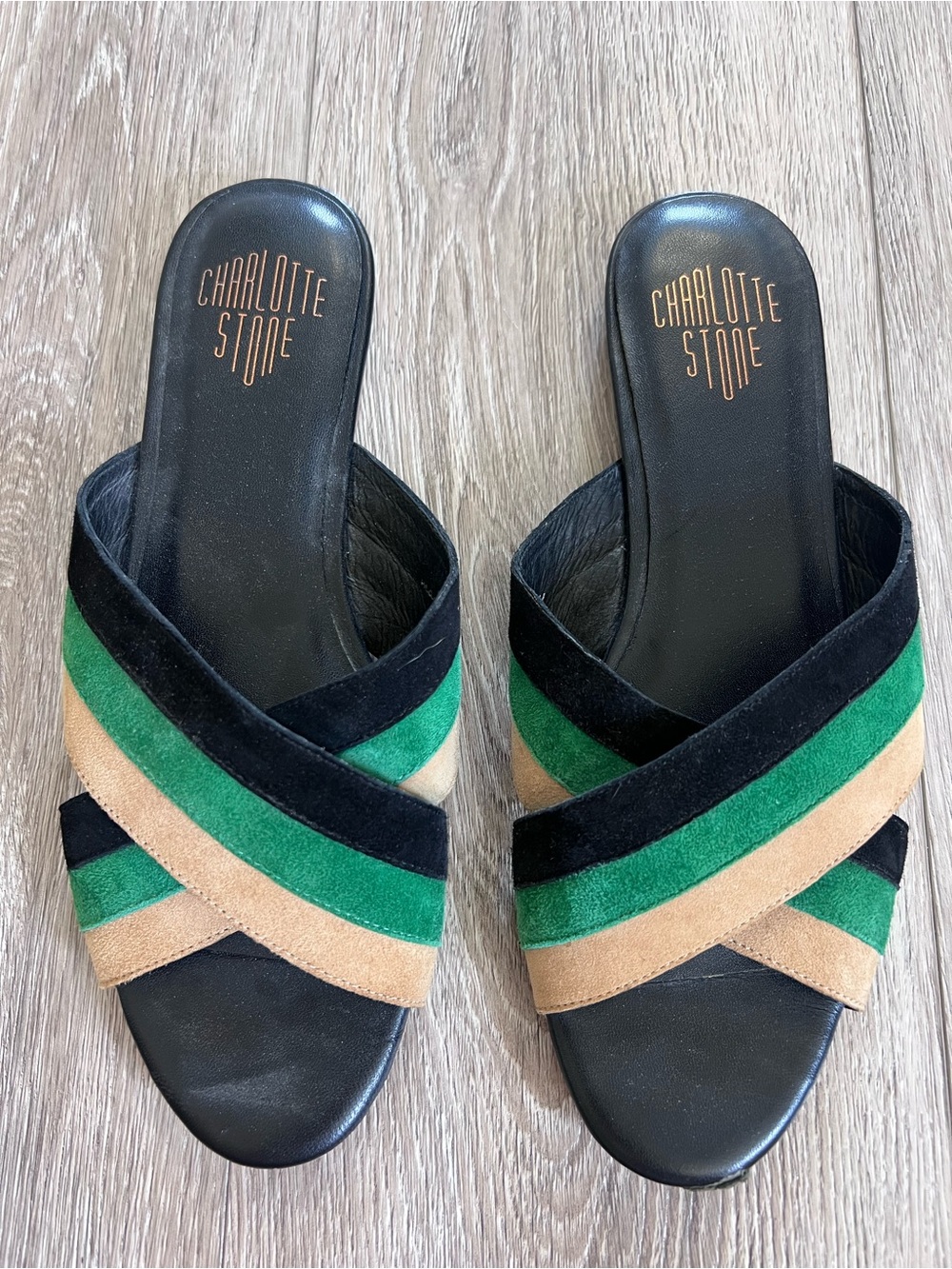Charlotte Stone Suede Striped Sandal Flats Green and Black Stripe
